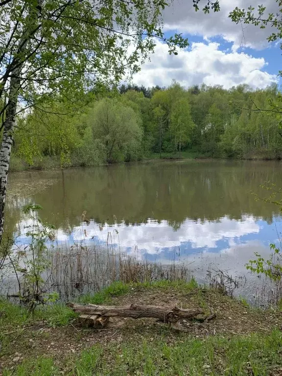 Участок в Московская область, Подольск городской округ, д. Кутьино  ... - Фото 1