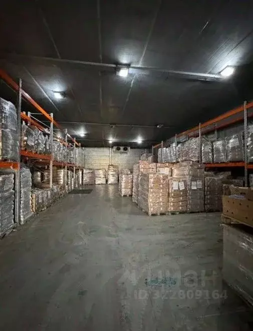 Склад в Санкт-Петербург просп. Непокоренных, 63И (650 м) - Фото 2