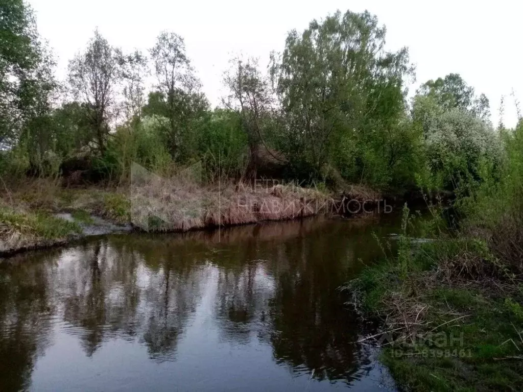 Участок в Тюменская область, Исетский муниципальный округ, с. Бобылево ... - Фото 1