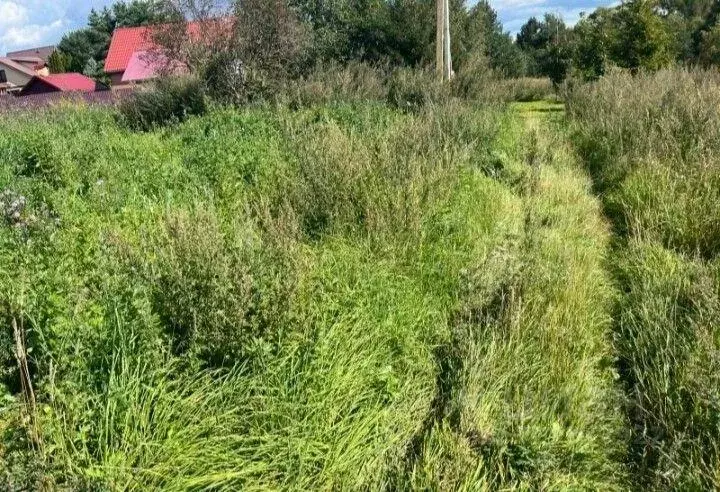 Участок, 20 сот., поселения (ижс) - Фото 2