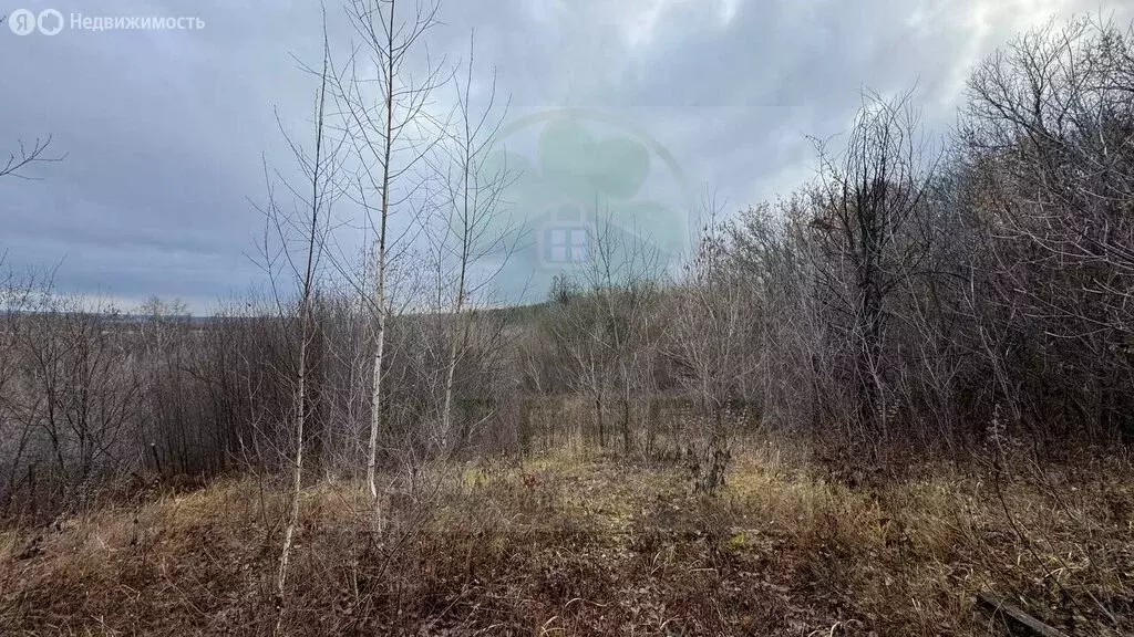 Участок в Япарка, Родниковая улица, 3А (21.32 м) - Фото 1