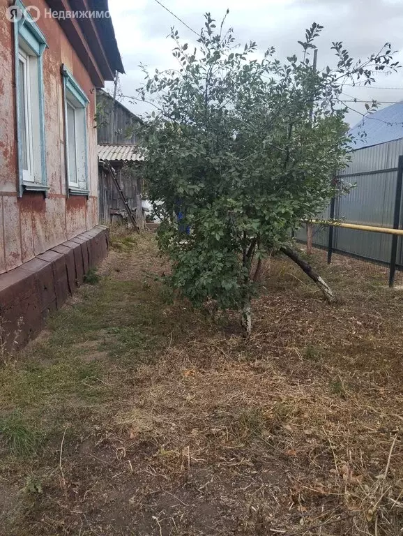 Дом в Бузулук, Заводская улица, 20 (38 м) - Фото 1