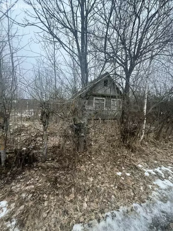 Участок в Панковское городское поселение, садоводческий массив № 1, ... - Фото 0