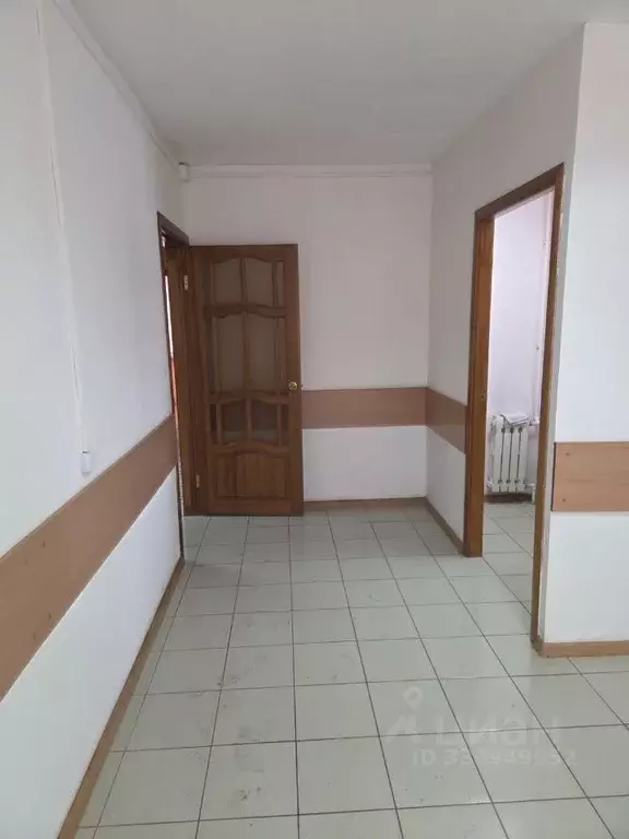 Офис в Оренбургская область, Оренбург ул. Березка, 14 (60 м) - Фото 2