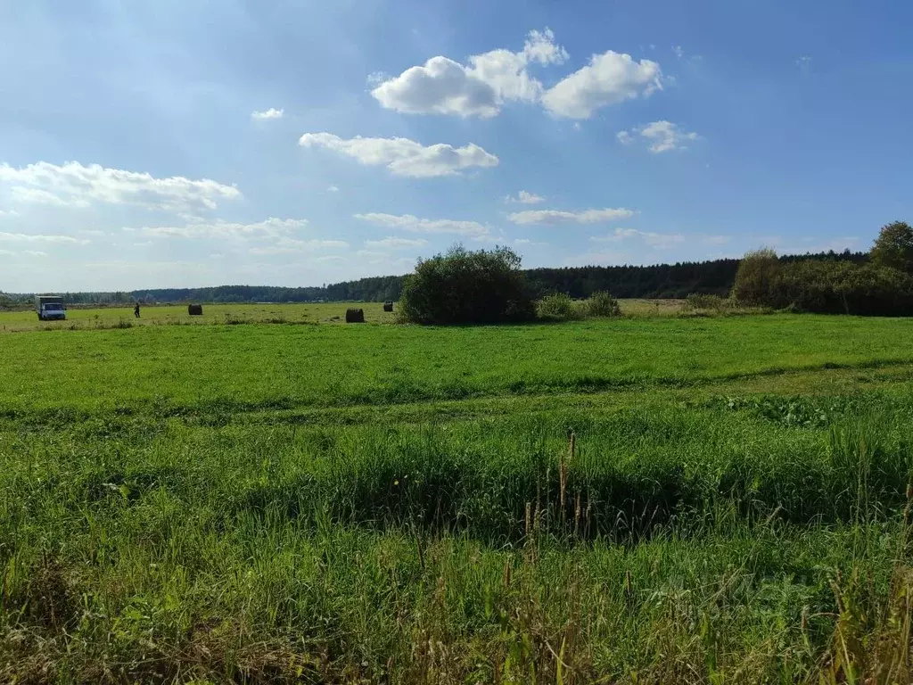 Участок в Московская область, Орехово-Зуевский городской округ, д. ... - Фото 1