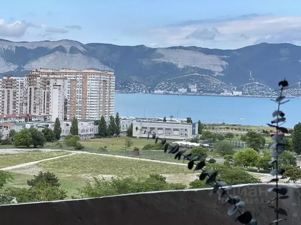 3-к кв. Краснодарский край, Новороссийск Молодежная ул., 28 (60.0 м) - Фото 0