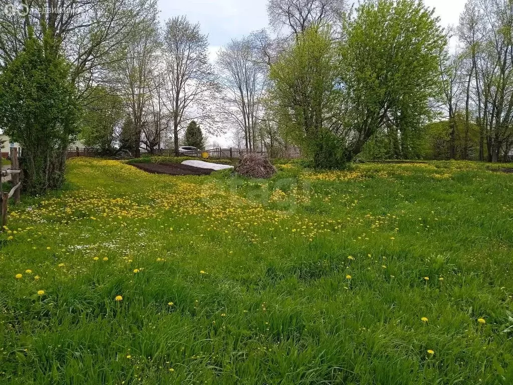 Участок в Вологодский муниципальный округ, деревня Винниково (20 м) - Фото 1