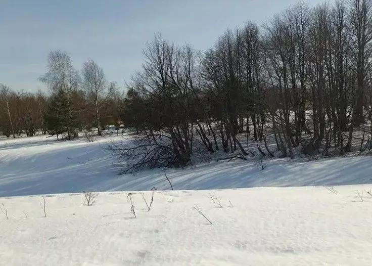 Участок в Московская область, Дмитровский муниципальный округ, д. ... - Фото 1