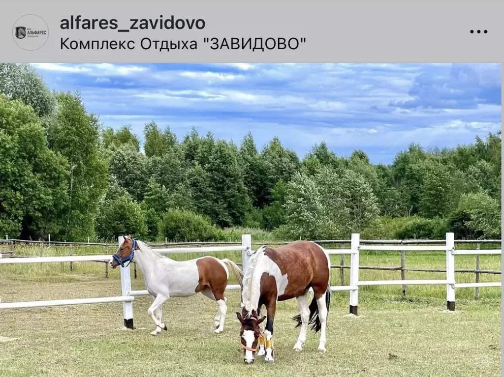Дом в Тверская область, Конаковский муниципальный округ, д. Городище ... - Фото 1