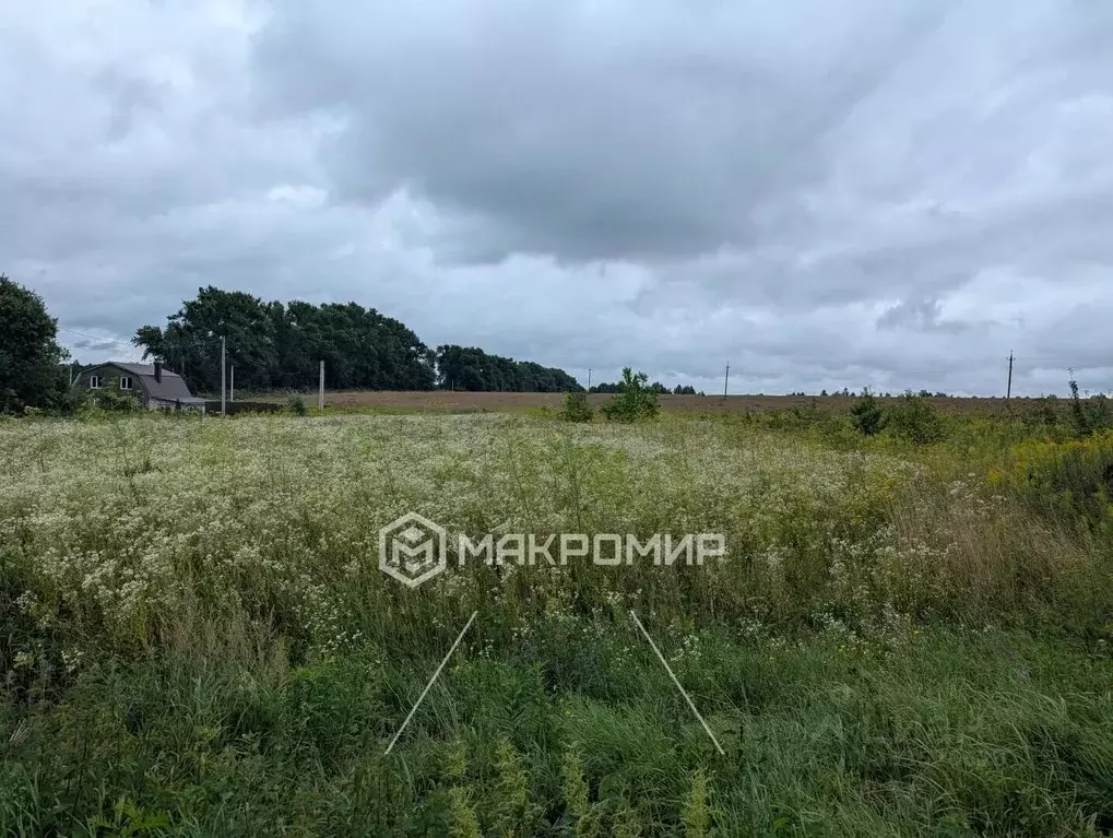 Участок в Орловская область, Орловский муниципальный округ, д. ... - Фото 1