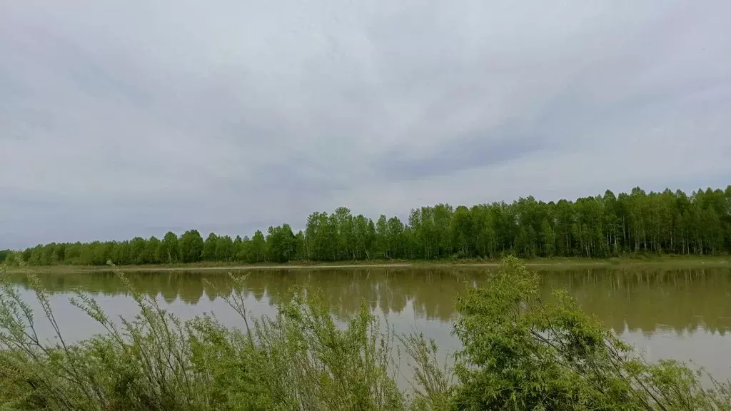 Дом в Кемеровская область, Новокузнецкий муниципальный округ, ... - Фото 1