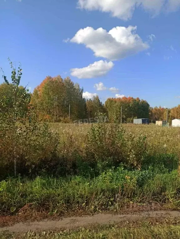 Участок в Тюменская область, Тюменский район, с. Княжево  (6.0 сот.) - Фото 1