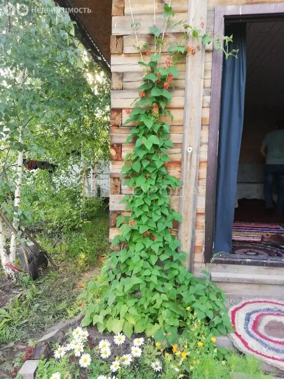 Дом в Томск, Приветливая улица, 49 (38 м) - Фото 2