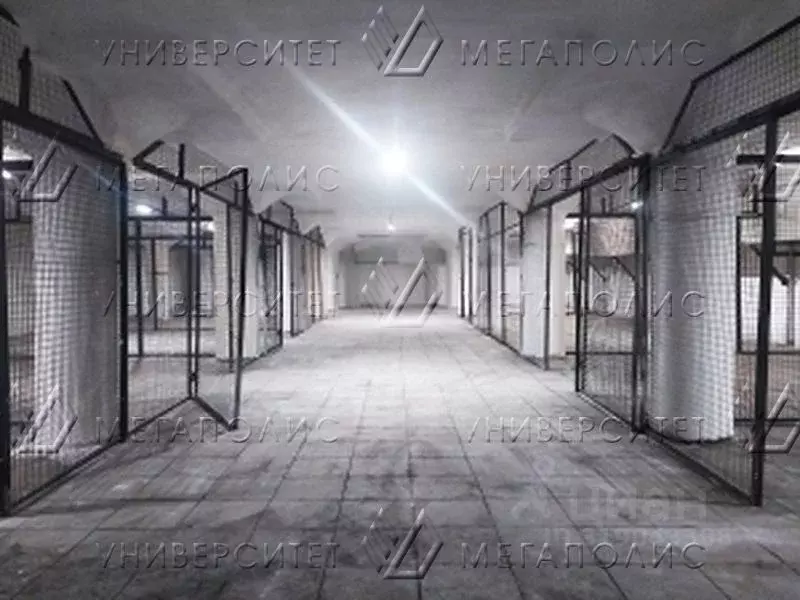 Склад в Москва Рябиновая ул., 47С6 (950 м) - Фото 1