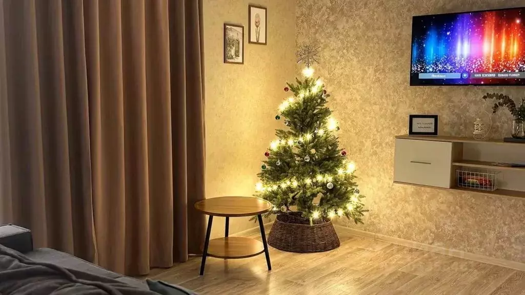 2-к кв. Амурская область, Благовещенск Высокая ул., 141 (50.0 м) - Фото 1