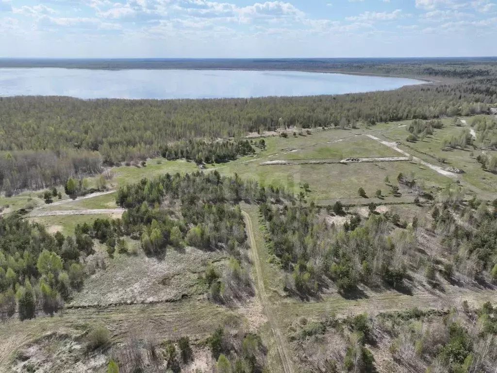 Участок в Тюменская область, Нижнетавдинский муниципальный округ, ... - Фото 0