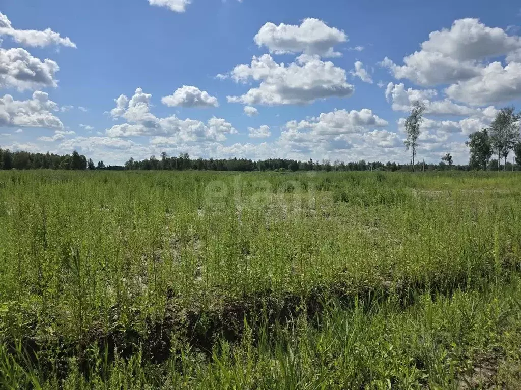 Участок в Тюменская область, Нижнетавдинский муниципальный округ, ... - Фото 2