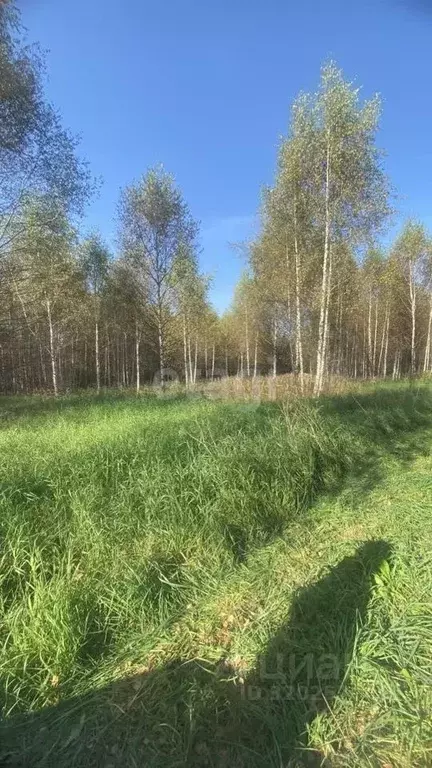 Участок в Костромская область, Костромской район, Минское с/пос, д. ... - Фото 1