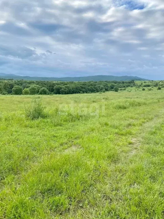 Участок в Приморский край, Артемовский городской округ, с. Кролевцы ... - Фото 1