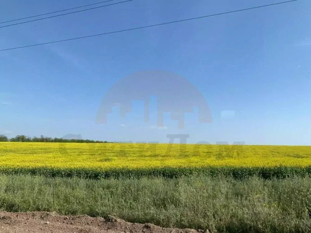 Участок в Крым, Сакский район, с. Лесновка ул. Садовая (7.8 сот.) - Фото 0