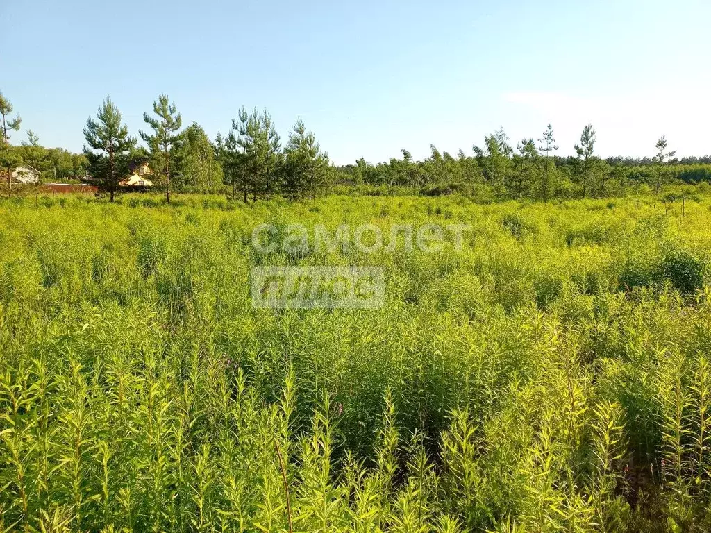 Участок в Нижегородская область, Дальнее Константиново рп пер. ... - Фото 1