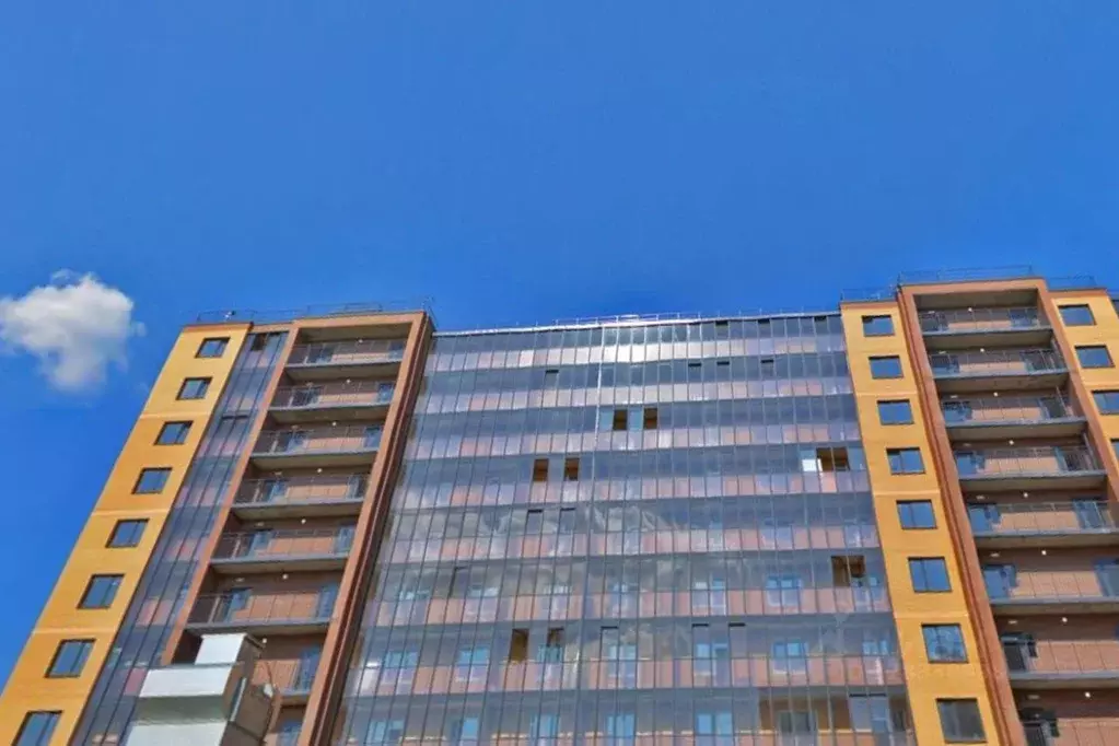 Студия Санкт-Петербург пос. Шушары, Ленсоветовский тер., 19к2 (24.3 м) - Фото 2