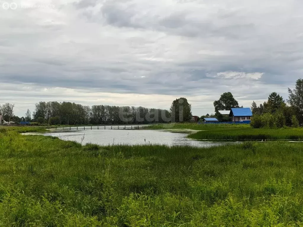 Участок в Вологодский муниципальный округ, посёлок Непотягово (4 м) - Фото 0