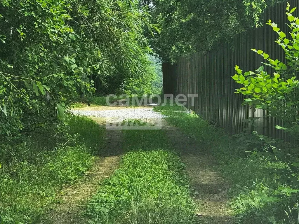 Участок в Хабаровский край, Хабаровский район, Мичуринское с/пос, ... - Фото 1