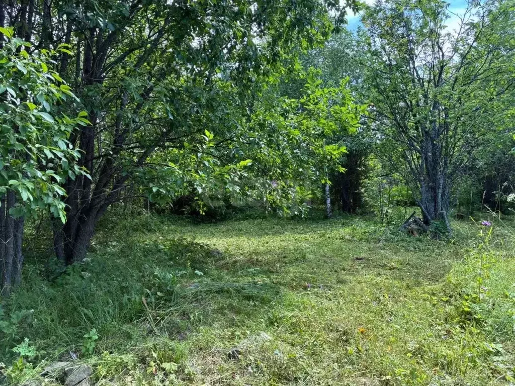 Участок в Свердловская область, Нижний Тагил муниципальный округ, пос. ... - Фото 1