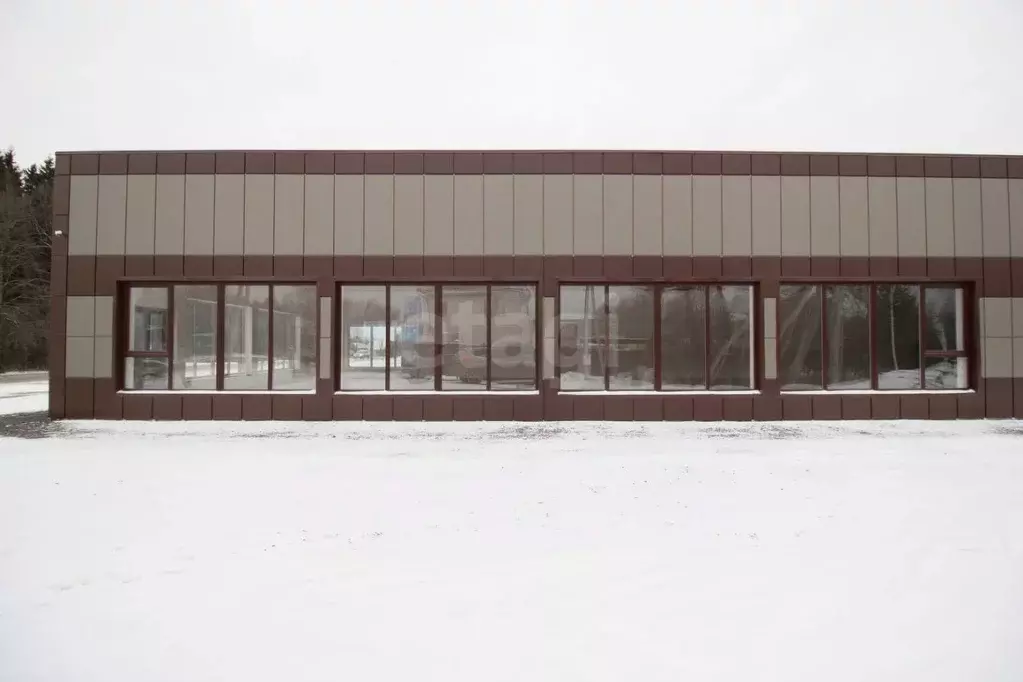 Торговая площадь в Калужская область, Медынь Молодежная ул., 24 (365 ... - Фото 2