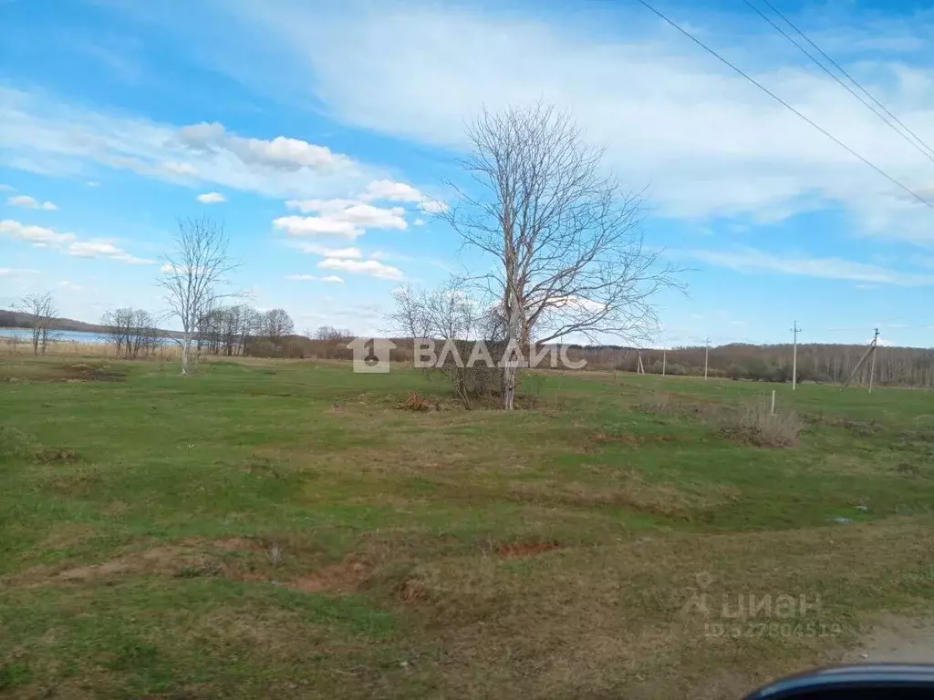 Участок в Нижегородская область, Богородский муниципальный округ, д. ... - Фото 1