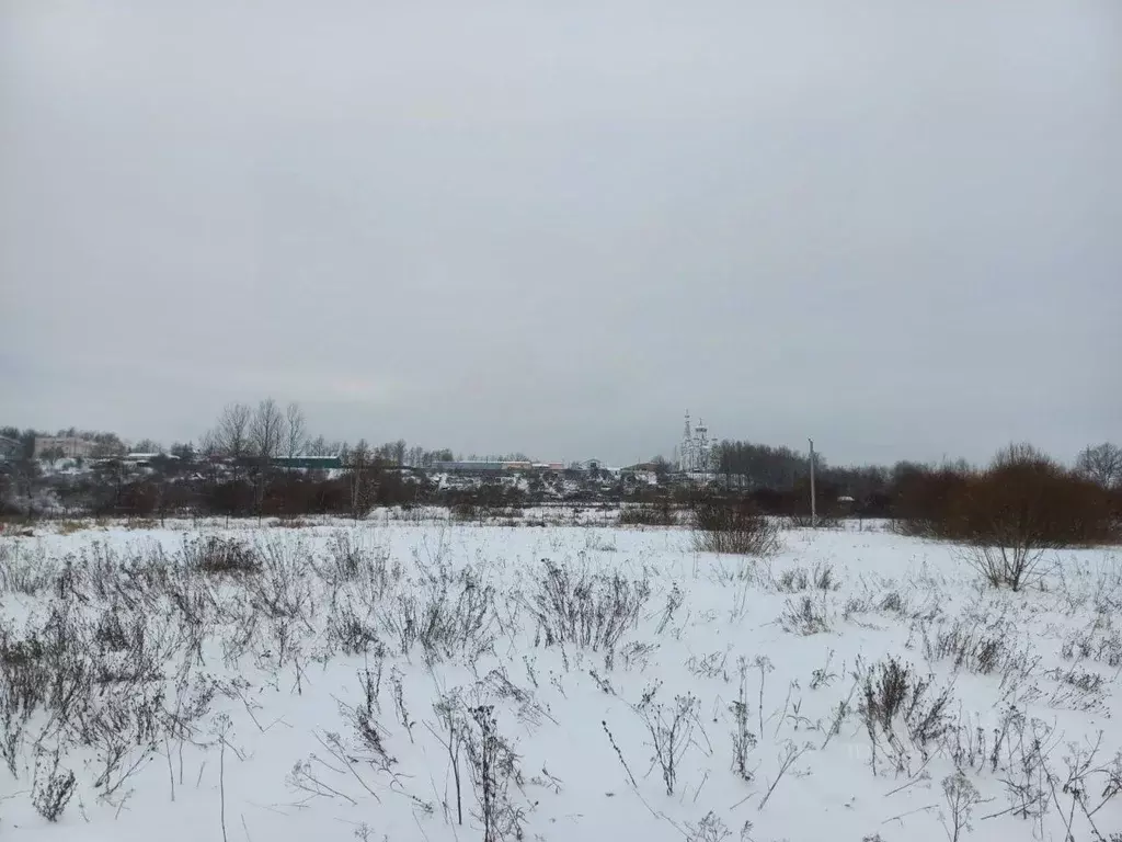 Участок в Ленинградская область, Ломоносовский район, д. Санино ул. ... - Фото 1