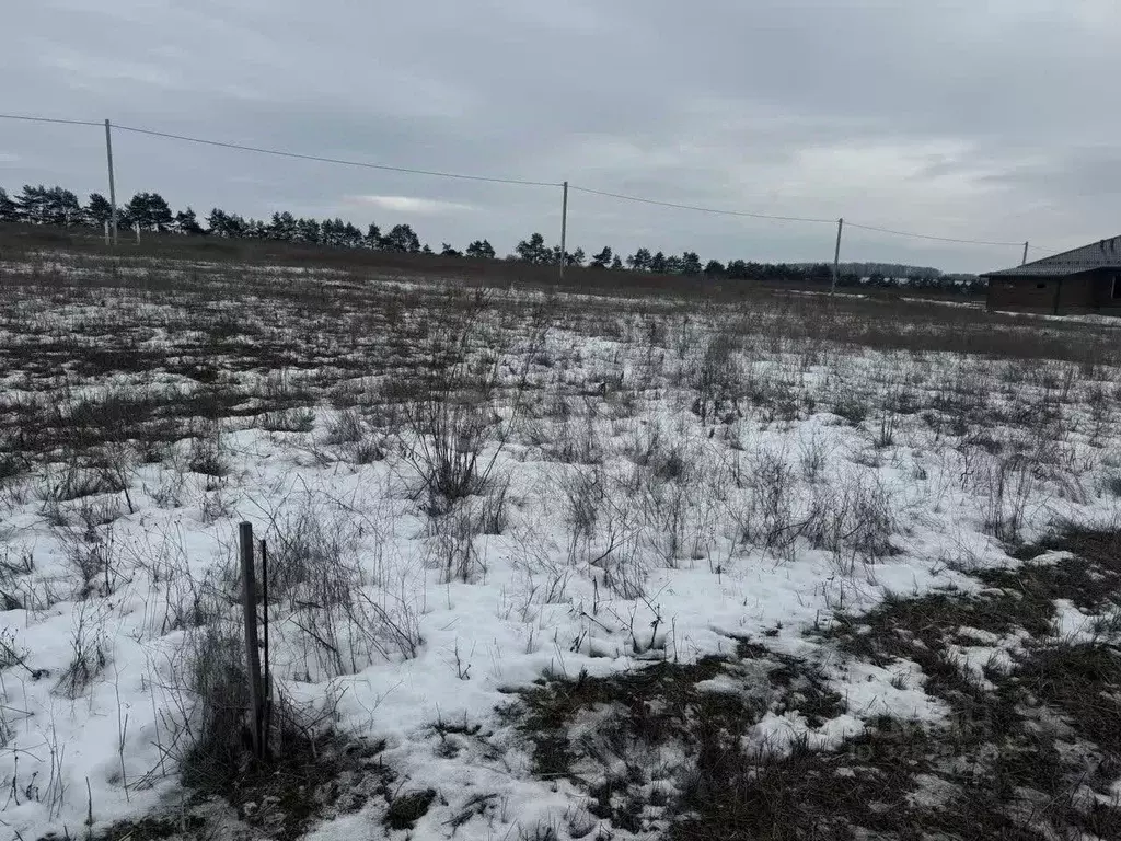 Участок в Белгородская область, Белгородский район, Хохловское с/пос, ... - Фото 1