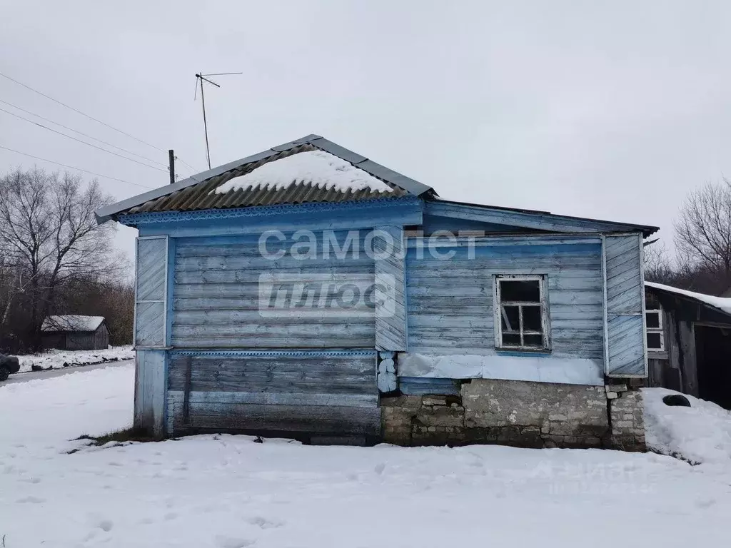 Дом в Нижегородская область, Шатковский муниципальный округ, с. Новое ... - Фото 1