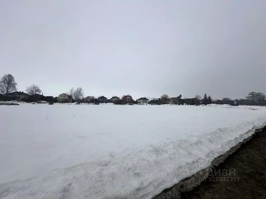 Участок в Московская область, Луховицы муниципальный округ, с. ... - Фото 2