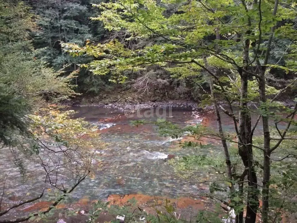 Участок в Адыгея, Майкопский район, Даховское с/пос, с. Хамышки  (24.6 ... - Фото 1