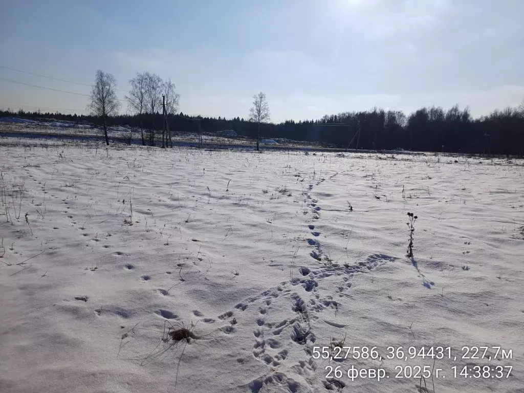 Участок в Московская область, Наро-Фоминский городской округ, д. ... - Фото 0
