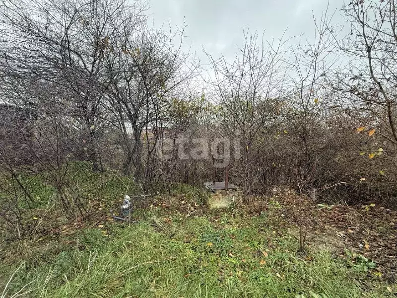 Участок в Краснодарский край, Новороссийск городской округ, с. ... - Фото 2