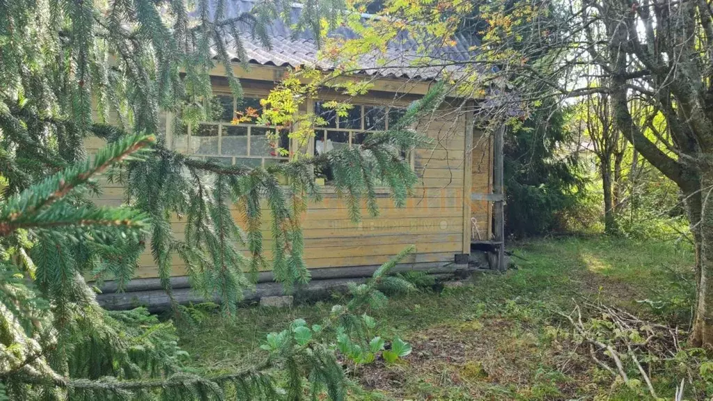 Участок в Ленинградская область, Выборгский район, Рощинское городское ... - Фото 0