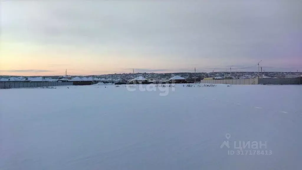 Участок в Амурская область, Благовещенский район, с. Чигири  (30.0 ... - Фото 0
