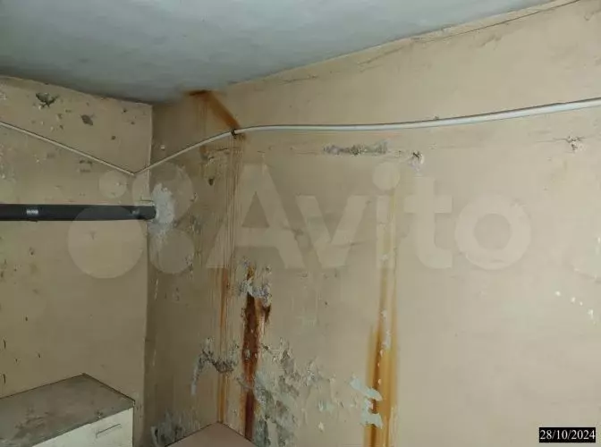 Свободного назначения, 9.1 м - Фото 1