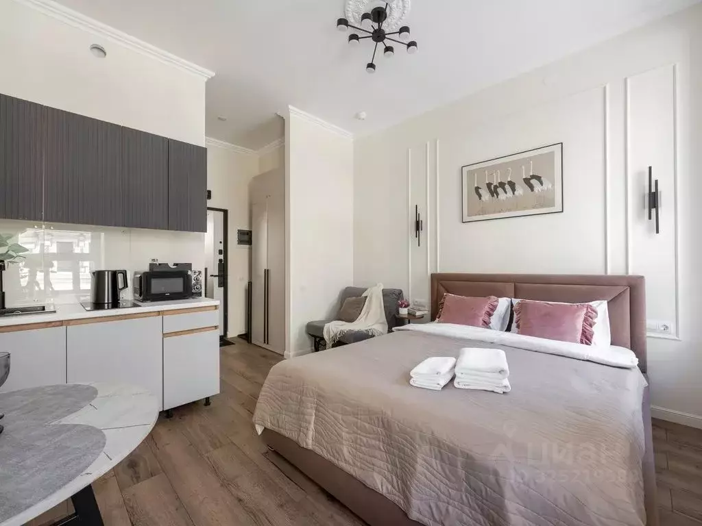 Студия Санкт-Петербург Зверинская ул., 2/5 (18.0 м) - Фото 2