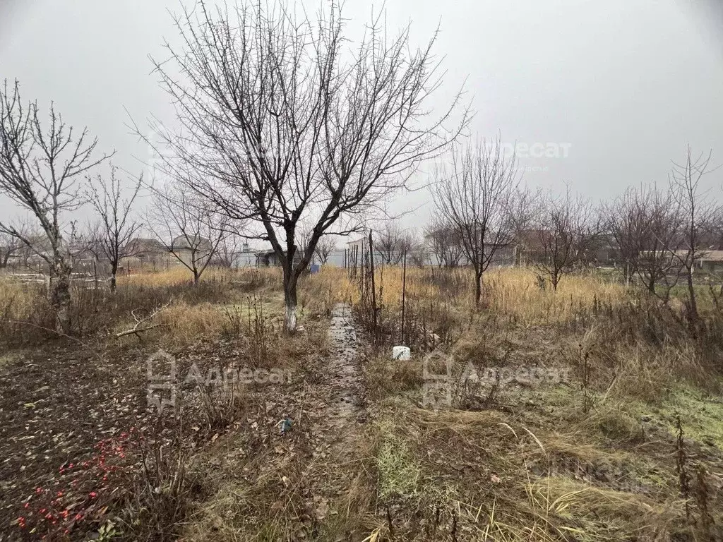 Участок в Волгоградская область, Светлоярский район, ... - Фото 1