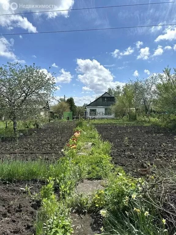 Дом в Орёл, СНТ Спутник, Центральная улица, 15 (26.7 м) - Фото 1