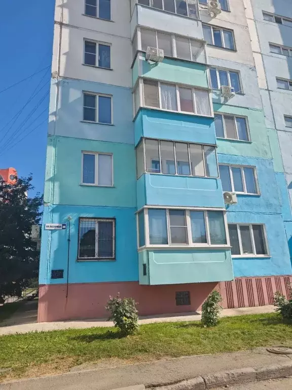 1-к кв. Алтайский край, Барнаул Лазурная ул., 36 (25.4 м) - Фото 2