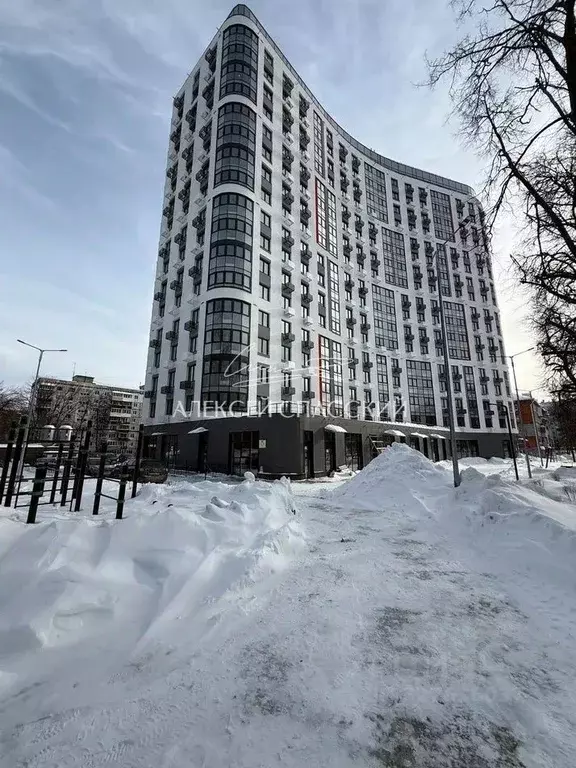 1-к кв. Нижегородская область, Нижний Новгород просп. Гагарина, 144 ... - Фото 1
