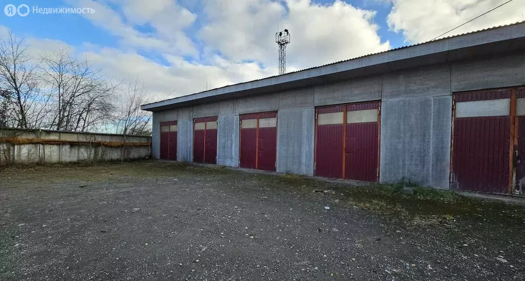 Помещение свободного назначения (330 м) - Фото 2