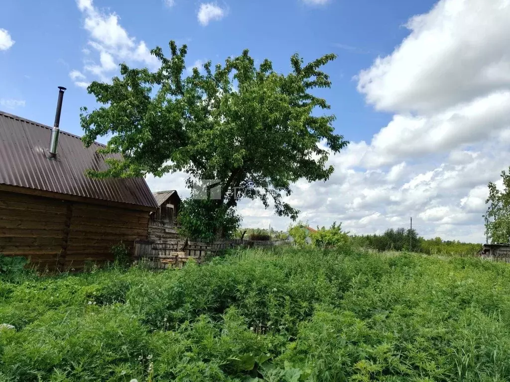 Участок в Алтайский край, Барнаул городской округ, пос. Бельмесево ул. ... - Фото 1