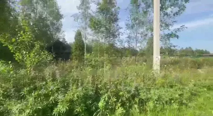 Участок в Новгородская область, Маловишерское городское поселение, д. ... - Фото 1