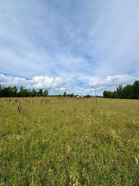 Участок, 684 сот., фермерское хоз-во - Фото 1